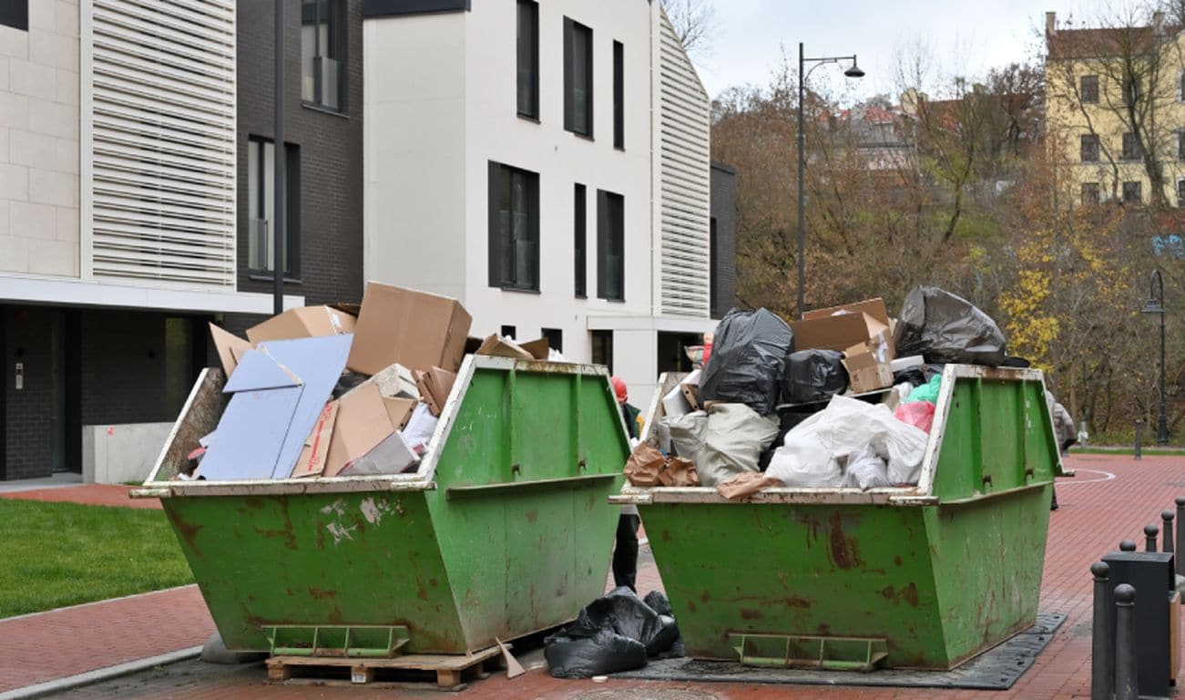 Trash Panda Junk Removal